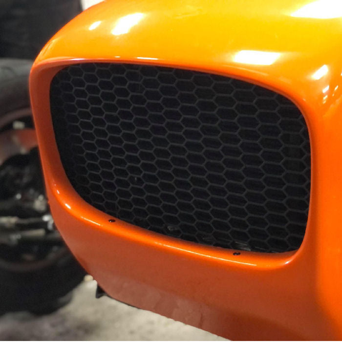 Honeycomb Nose Cone Grille 60 x 40